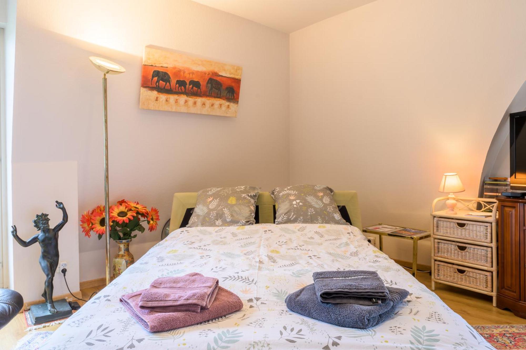 Séjour chez l'habitant Cosy. 10mn Du Centre Et De La Gare. Garage Gratuit *